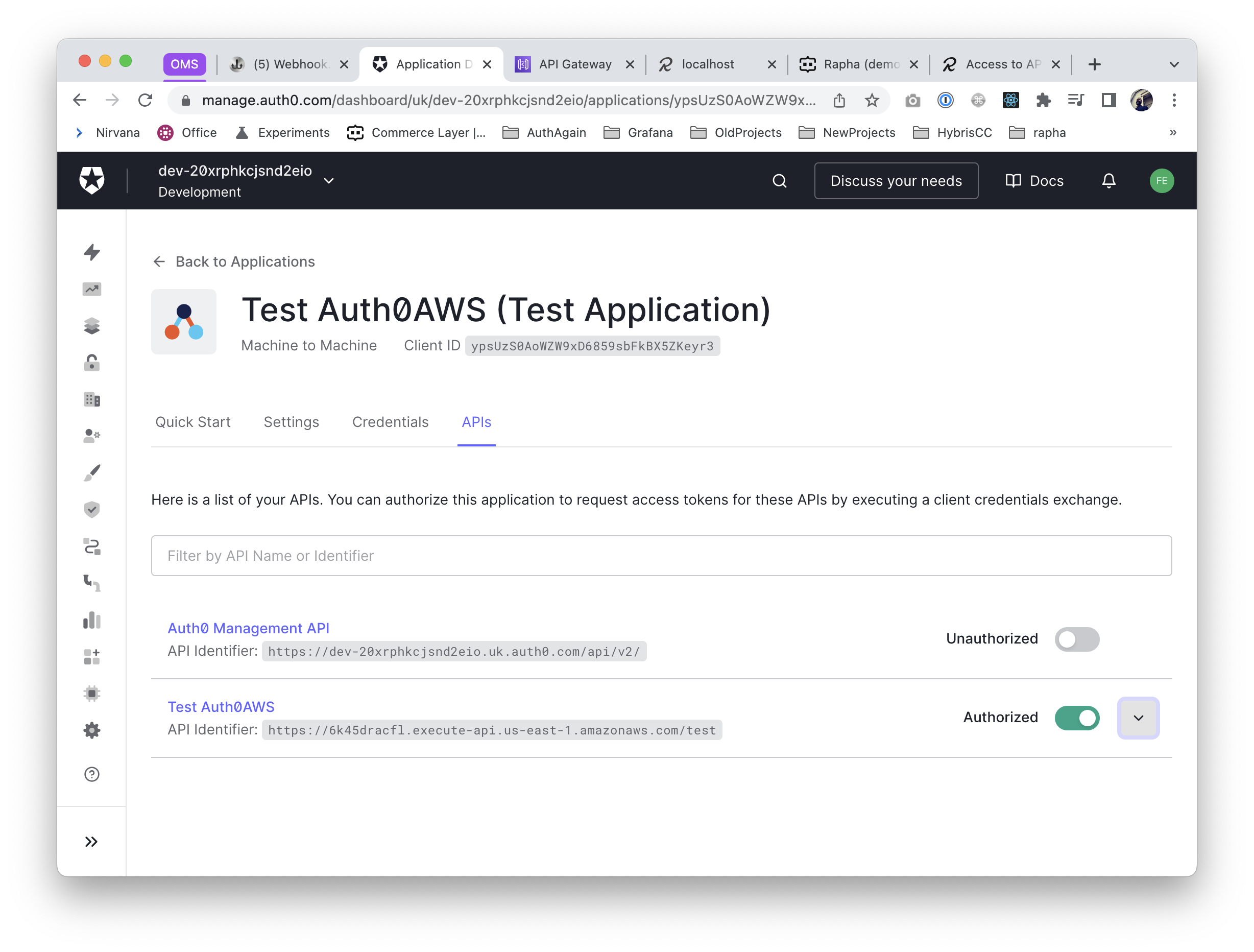 Auth0 App configuration - permissions