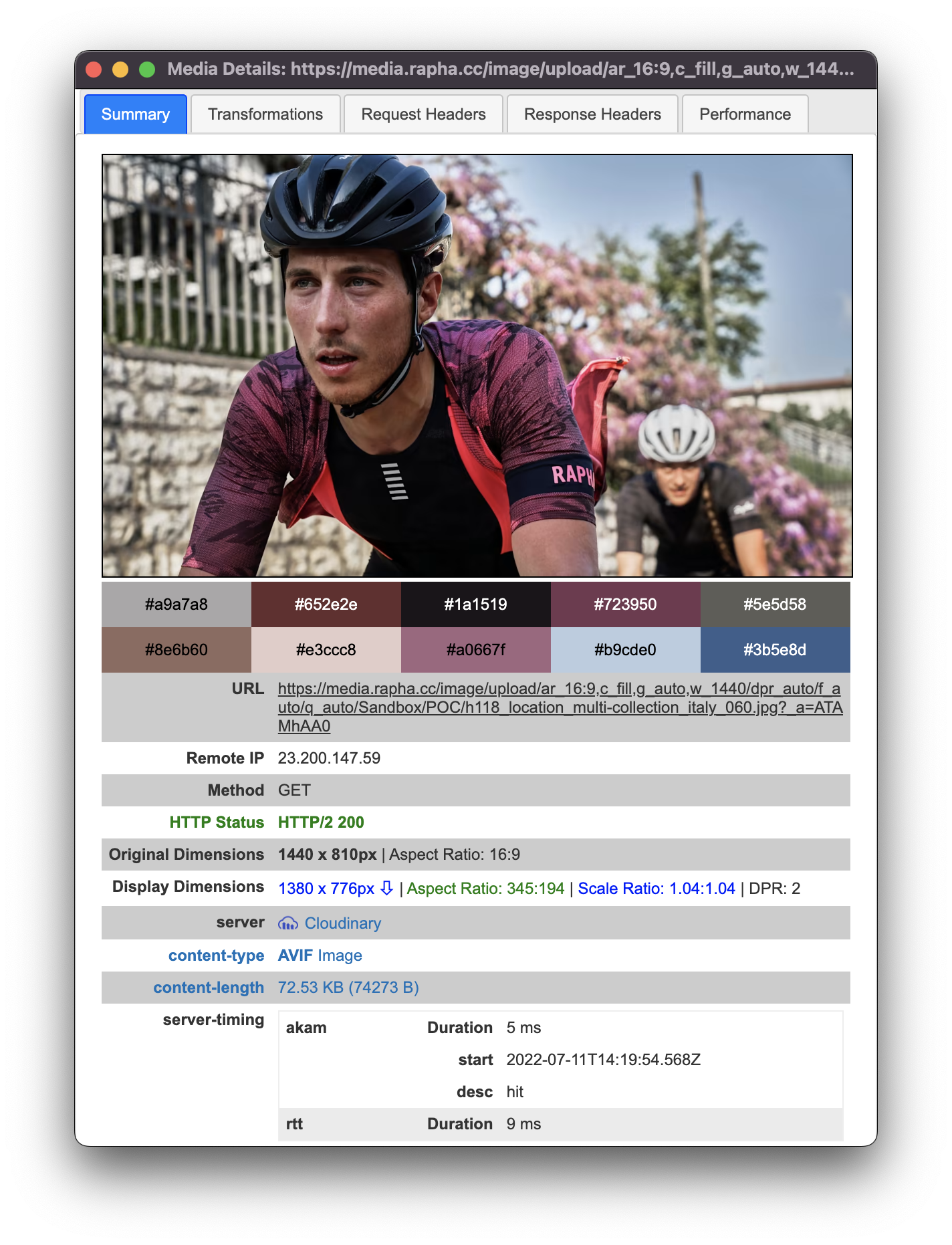 Cloudinary Media Inspector